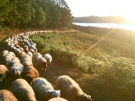 Rando-apéro-pasto autour du Lac de Vassivière