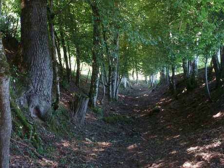 Variante par Lauzeraud - sentier de Meilhac