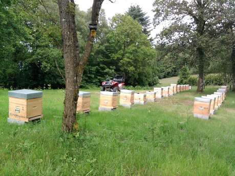 Visite et dégustation au Rucher de la Vauzelle