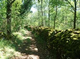 Boucle longue du Donjon