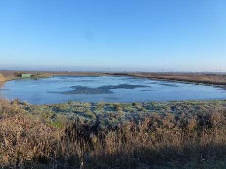 SEMAINE DE LA BIODIVERSITÉ - Visite d'une tonne de chasse