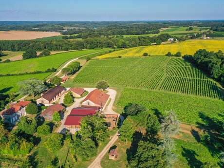 Vendangeur d'un jour au Château Garreau