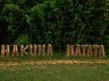 La Villa Hakuna Matata