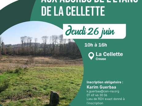 Sortie Botanique