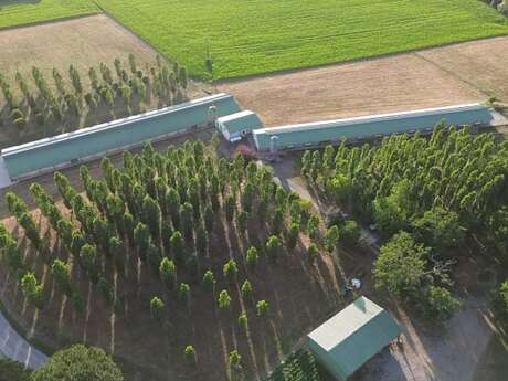 Portes ouvertes à la découverte des producteurs de Foie Gras à Sainte-Colombe