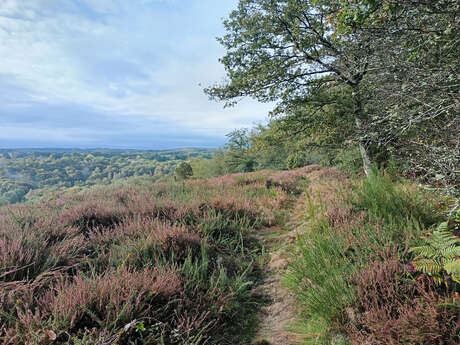 Randonnée découverte des landes de la vallée de la Gartempe