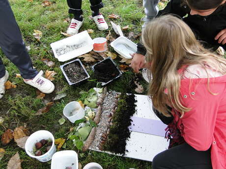 Atelier découverte pour enfants (8-11 ans)