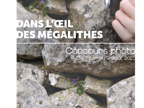 Concours photo "Dans l'oeil des mégalithes"