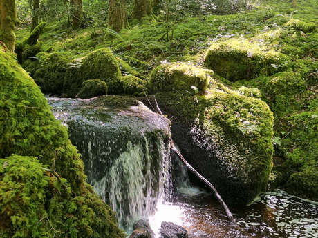 Les Roudouloux