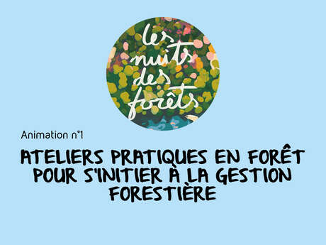 Les Nuits des Forêts : Découverte de la forêt / animation 1