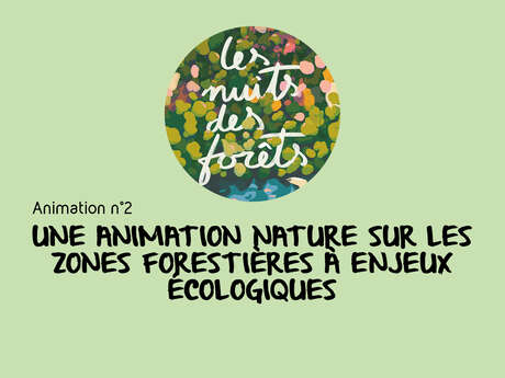 Les Nuits des Forêts : Découverte de la forêt / animation 2