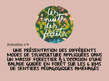 Les Nuits des Forêts : Découverte de la forêt / animation 4