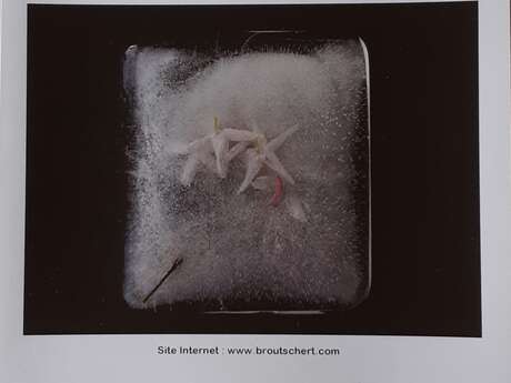 Photographies Voyages Poétiques