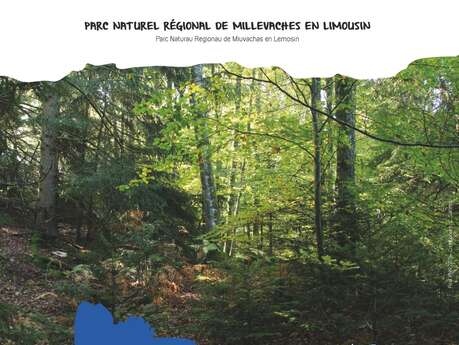 La Sylviculture mélangée à couvert continu : pourquoi ? comment ?