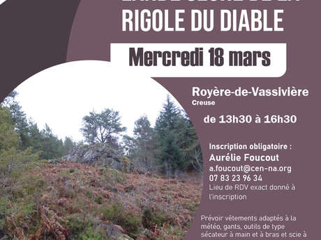 Chantier d'entretien d'une lande sèche