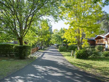 SCI Les Dunes de Ceyrolles - K9