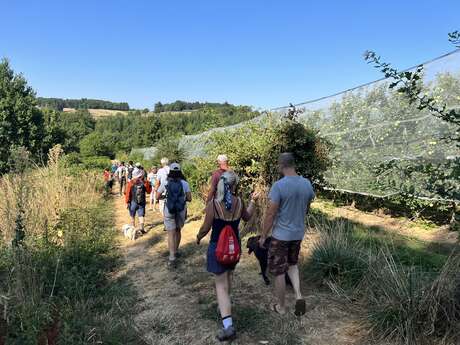 Route de la Pomme du Limousin - Visite verger 2025