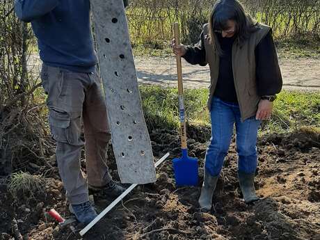 Chantier participatif plantation de haies