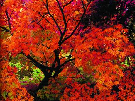Rendez-vous au jardin