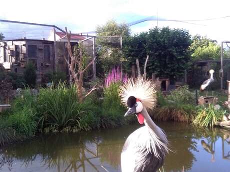 Jardin Zoologique Bellachon
