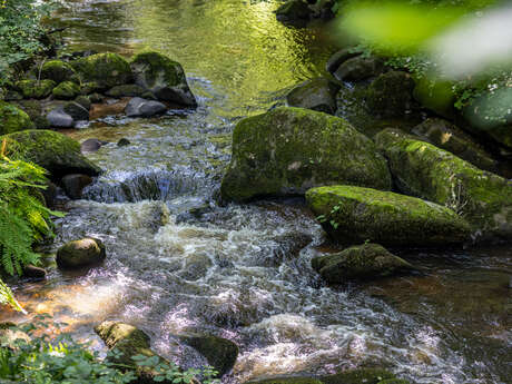 Vis ma vie de technicien rivière