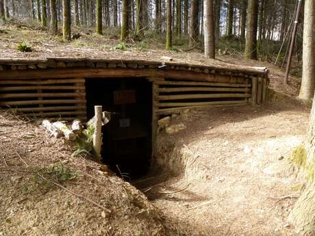 Caches des Maquisards de la forêt de Boubon Caches des Maquisards de la forêt de Boubon