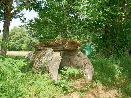 Dolmen de la Tamanie