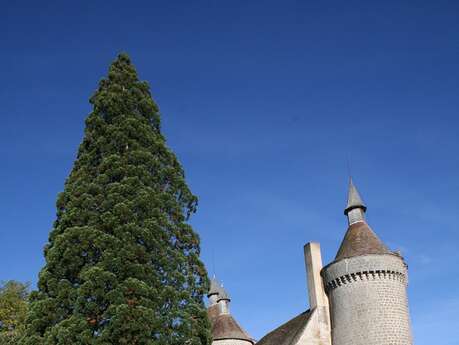 Visites du Château d'Etangsannes