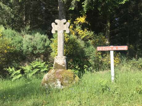 Le Puy du Gour - 9 km