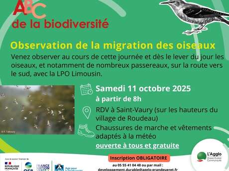 Observation de la migration des oiseaux
