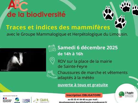 Traces et indices des mammifères