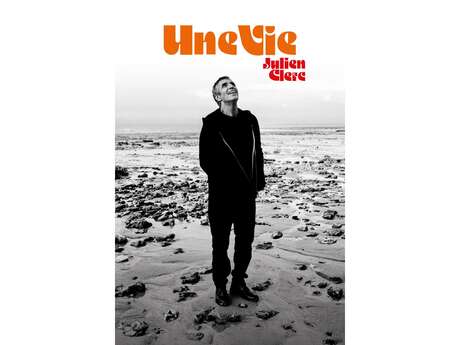 JULIEN CLERC