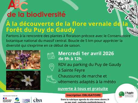 ABC de la biodiversité : la flore vernale de la forêt du Puy de Gaudy