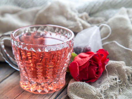 Atelier créer son infusion
