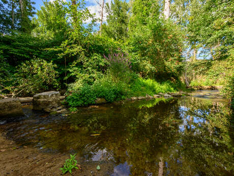 Balade nature à Thollet