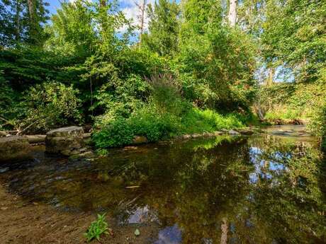 La Benaize dévoilée : nature et biodiversité en balade