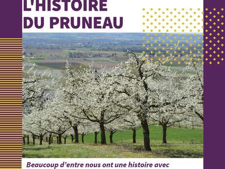 Raconte-moi l'histoire du pruneau