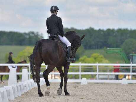 Concours de dressage