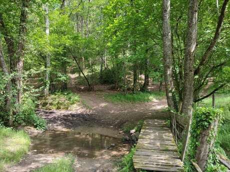 Circuit VTT n°1 De Saint-Paul à la Geneytouse