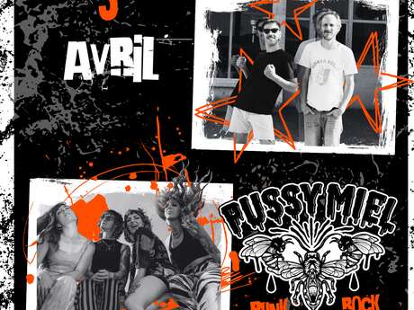 Soirée PUNK Le Réparateur / Pussy Miel