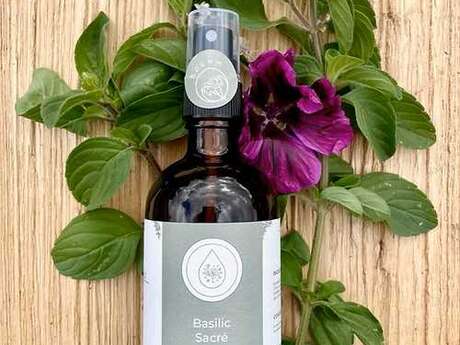 Plantes & Parfums : les secrets de la distillation