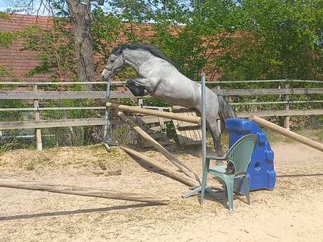 Equestrian Center de Coux (Auzances)