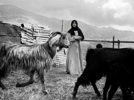 Exposition TEMPORARY LAND