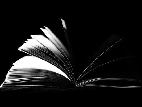 Conférence sur le polar régional