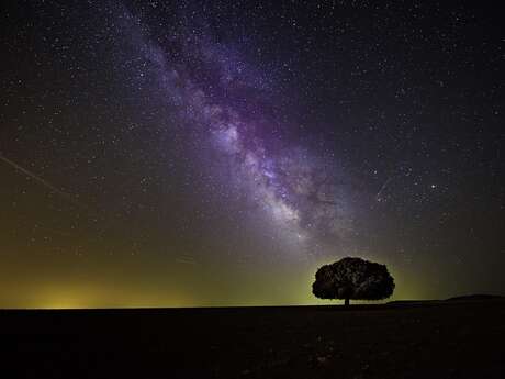 Pique-nique sous les étoiles