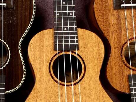 Luthier Robin Hubert