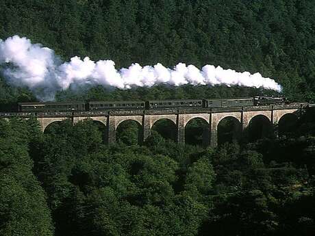 Train touristique à vapeur : Circuit des Gorges de la Vienne - 20 août