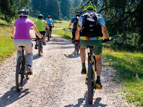 Séjour en vélos vers les oiseaux de la Brenne