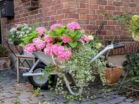 Vide jardin
