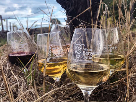 Dégustation de 4 vins | Vignobles Alard Dégustation de 4 vins | Vignobles Alard